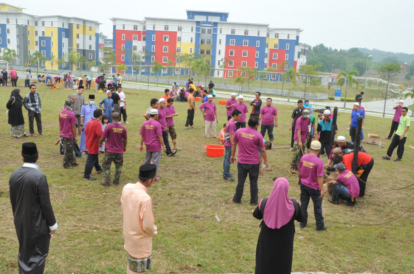 PRO15 150 KORBAN HAS 6923